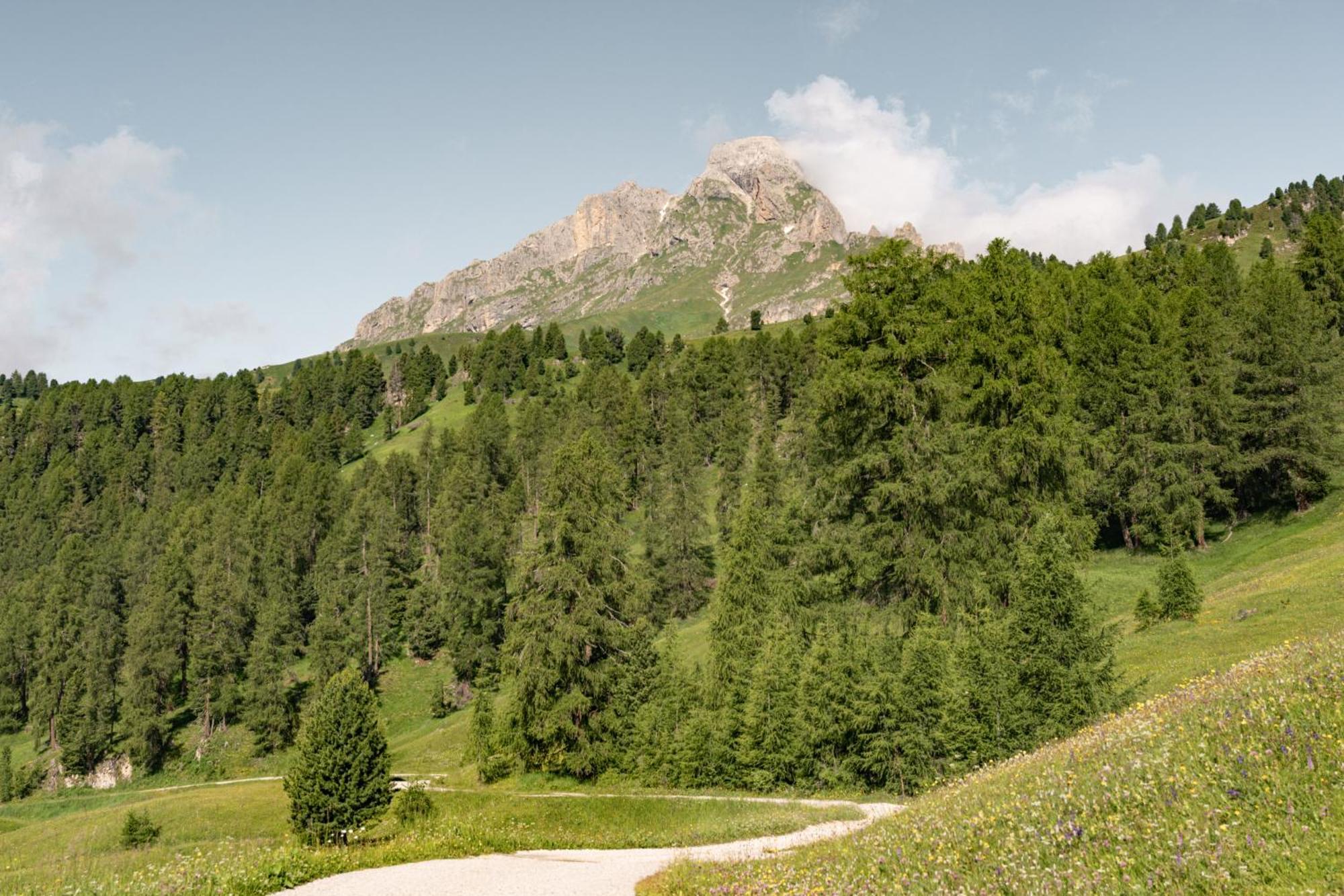 Ciasa Iachin - Dolomites Dream Retreat Apartment Сан Мартино ин Бадия Екстериор снимка