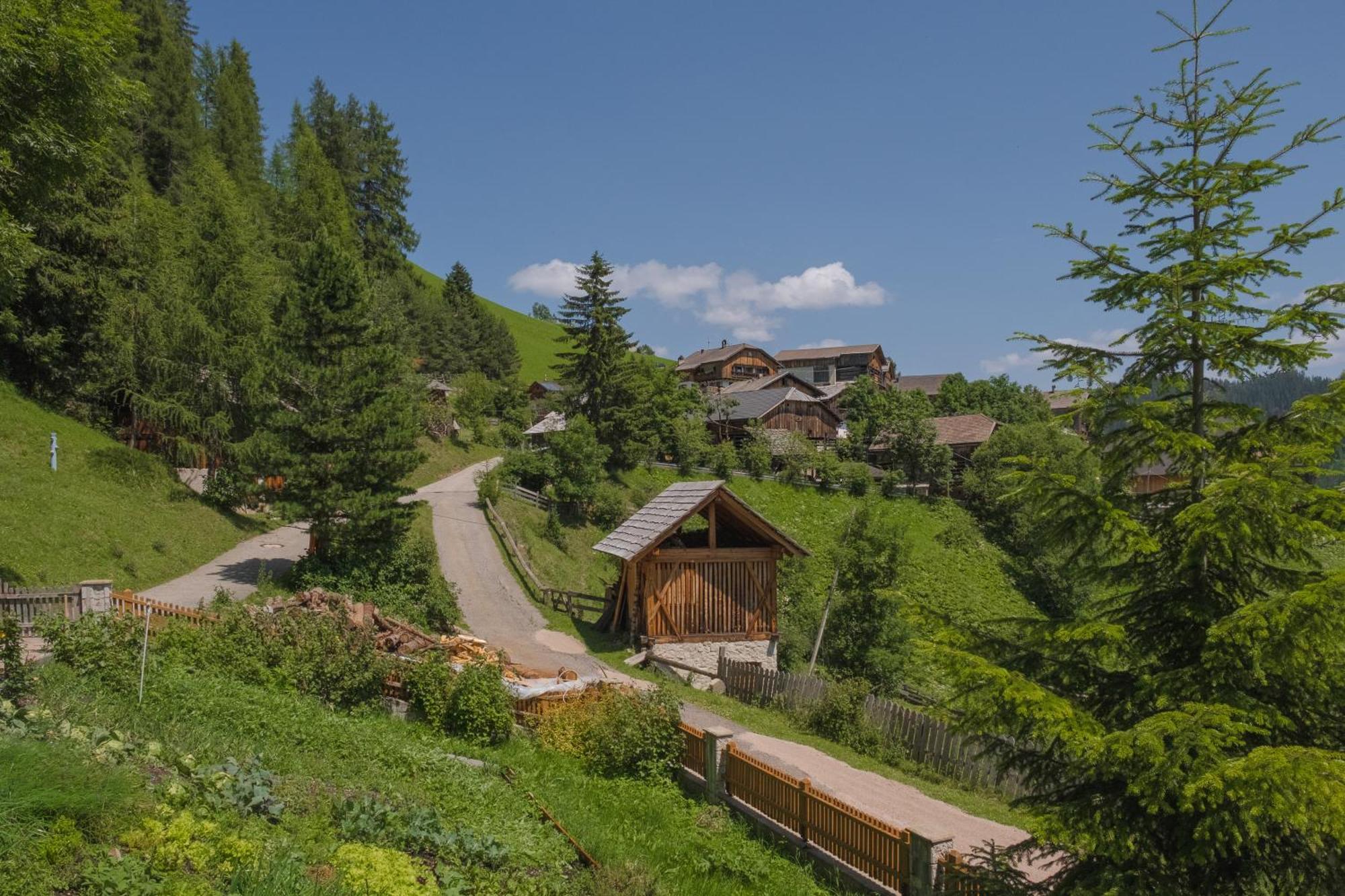 Ciasa Iachin - Dolomites Dream Retreat Apartment Сан Мартино ин Бадия Екстериор снимка