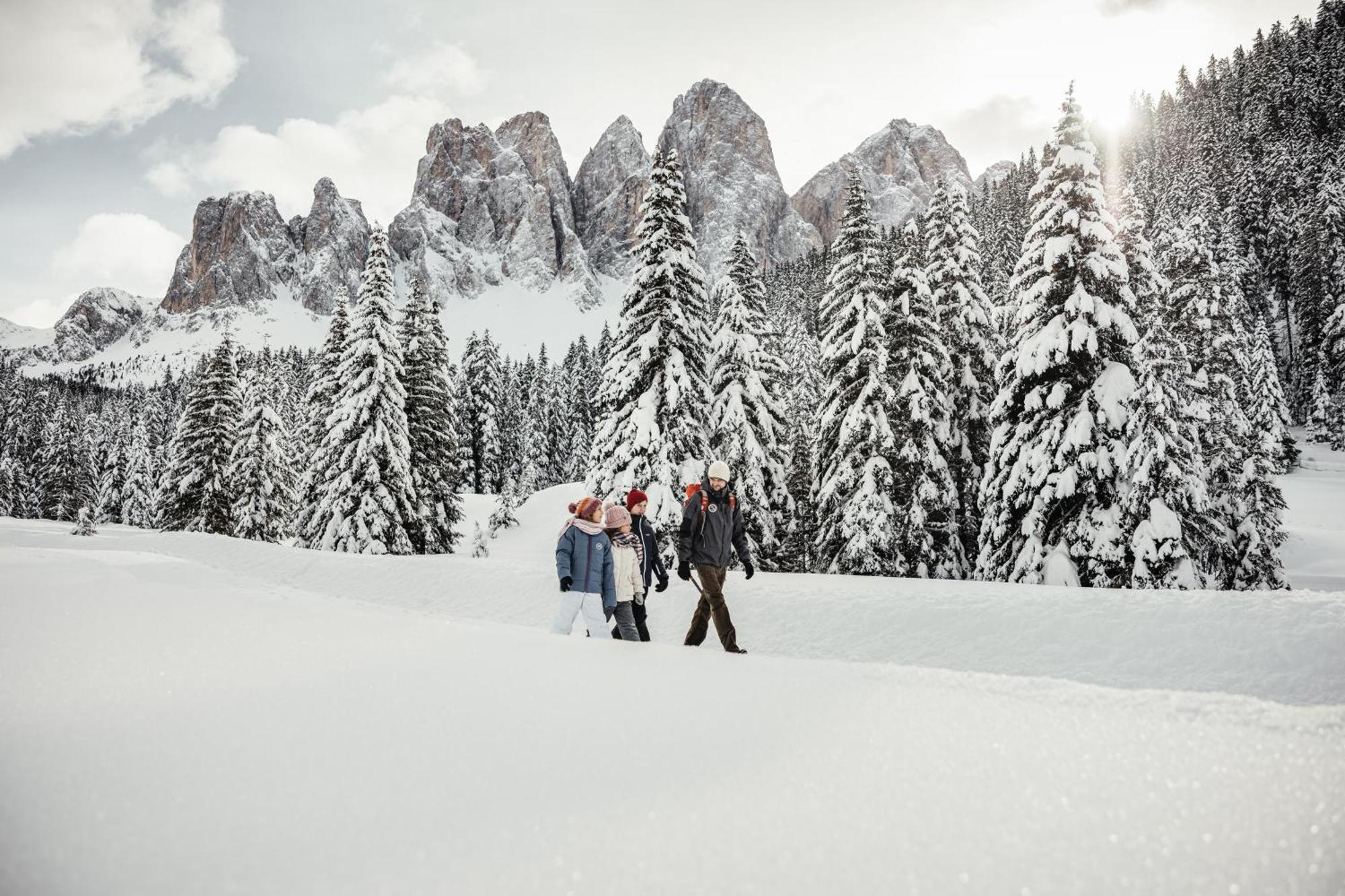 Ciasa Iachin - Dolomites Dream Retreat Apartment Сан Мартино ин Бадия Екстериор снимка