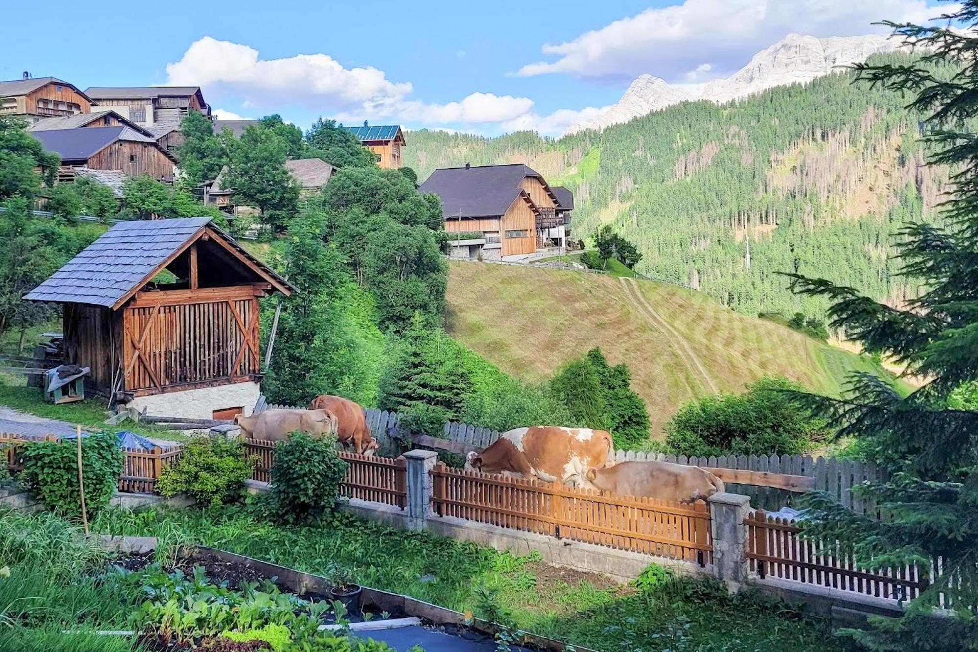 Ciasa Iachin - Dolomites Dream Retreat Apartment Сан Мартино ин Бадия Екстериор снимка