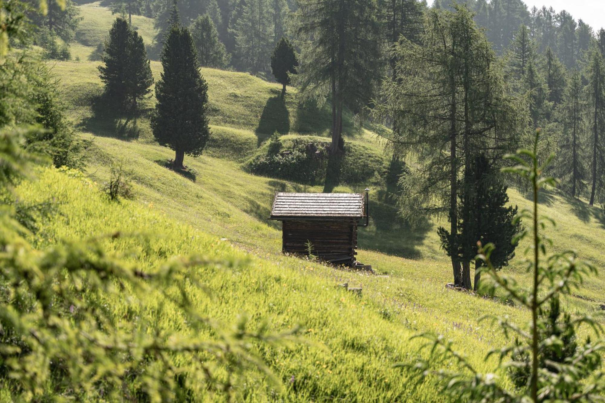 Ciasa Iachin - Dolomites Dream Retreat Apartment Сан Мартино ин Бадия Екстериор снимка