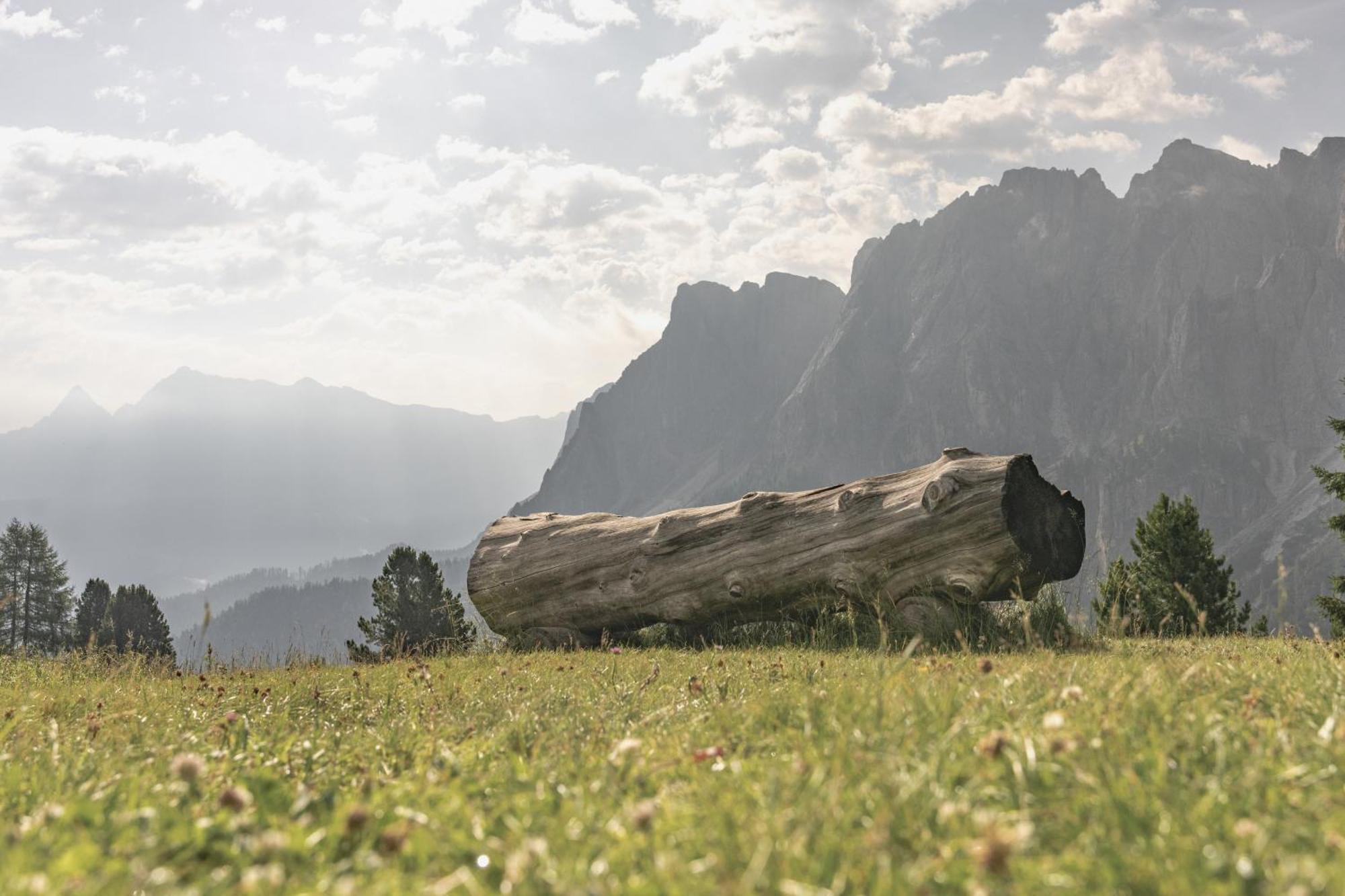 Ciasa Iachin - Dolomites Dream Retreat Apartment Сан Мартино ин Бадия Екстериор снимка