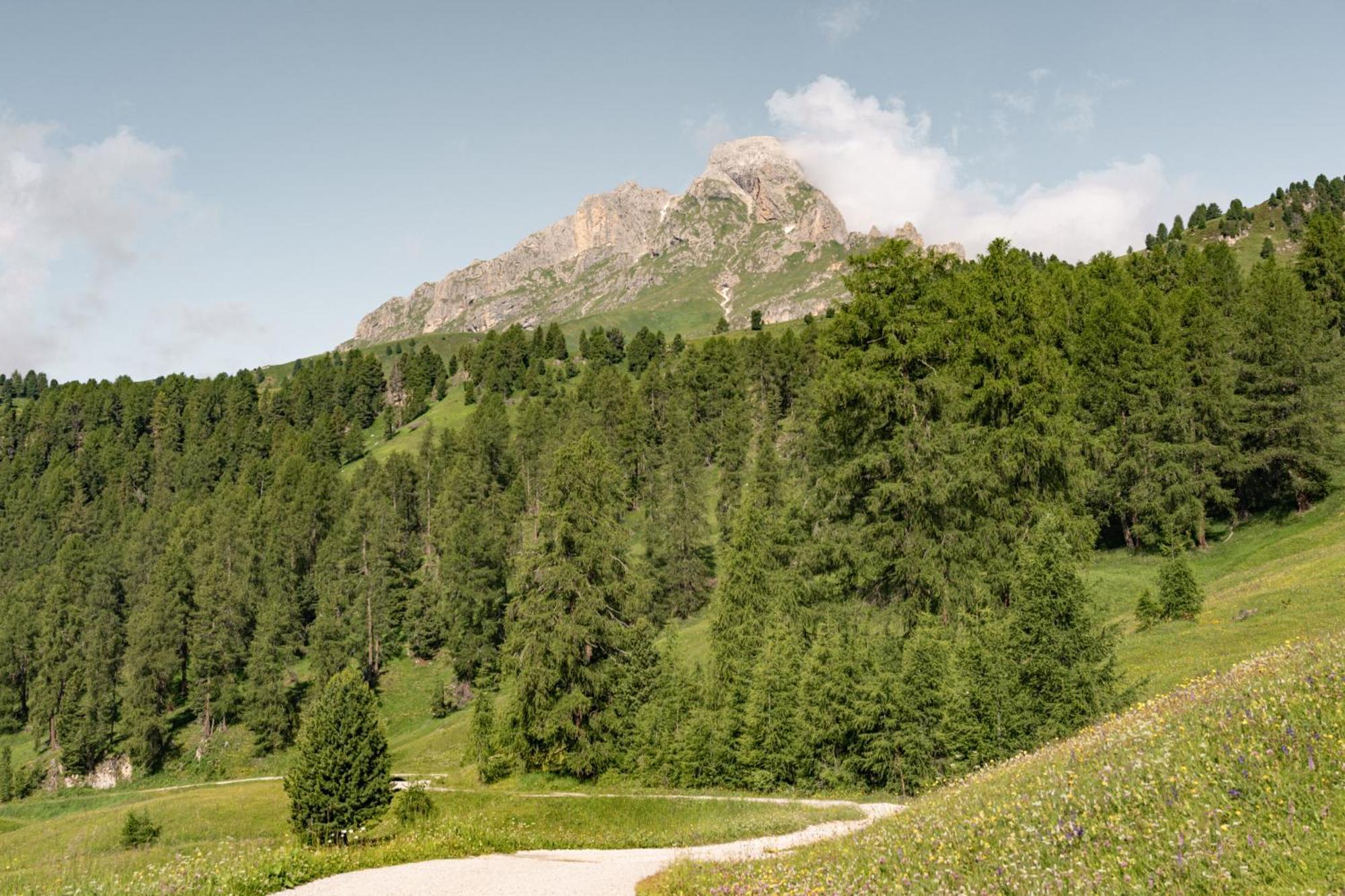 Ciasa Iachin - Dolomites Dream Retreat Apartment Сан Мартино ин Бадия Екстериор снимка