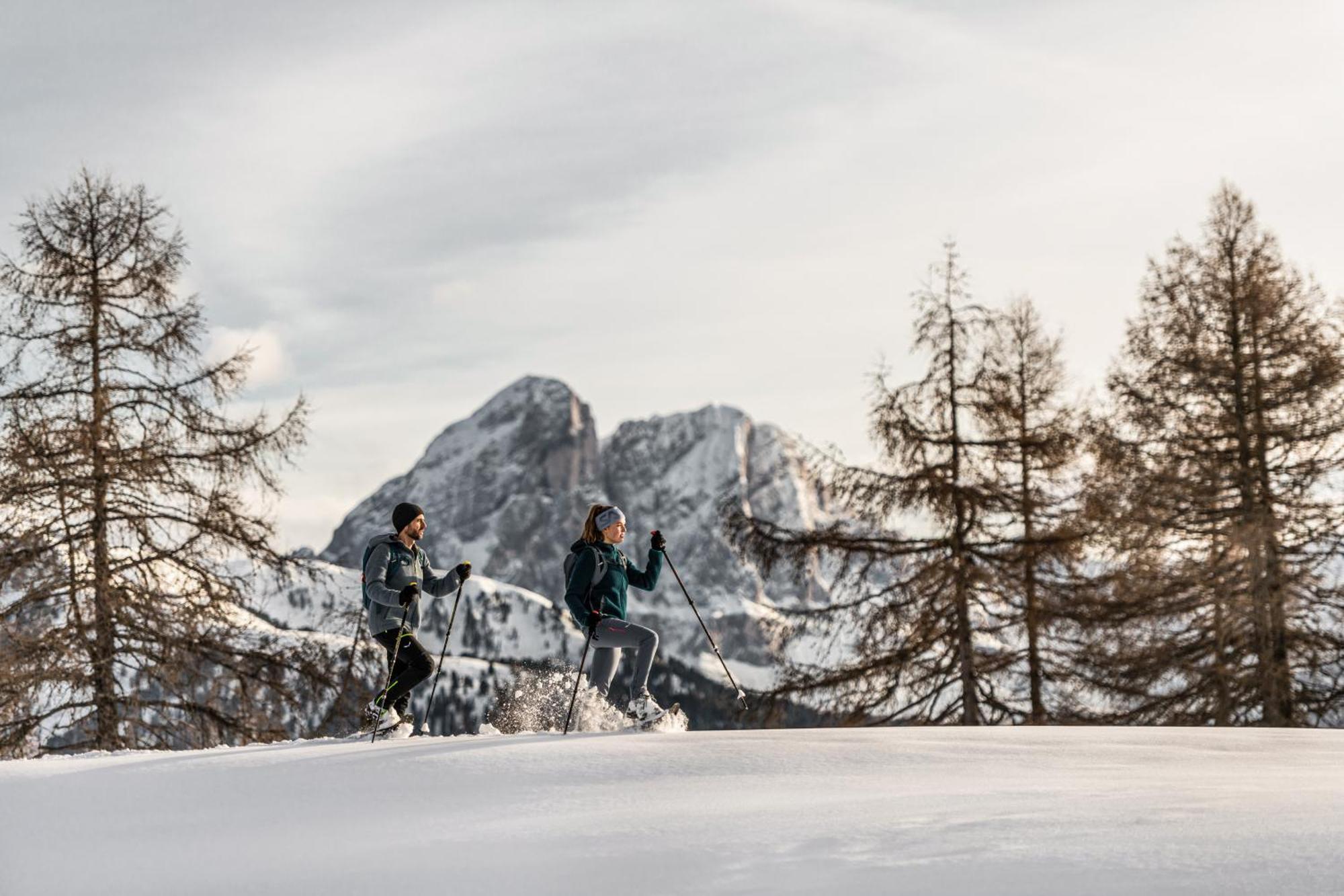 Ciasa Iachin - Dolomites Dream Retreat Apartment Сан Мартино ин Бадия Екстериор снимка