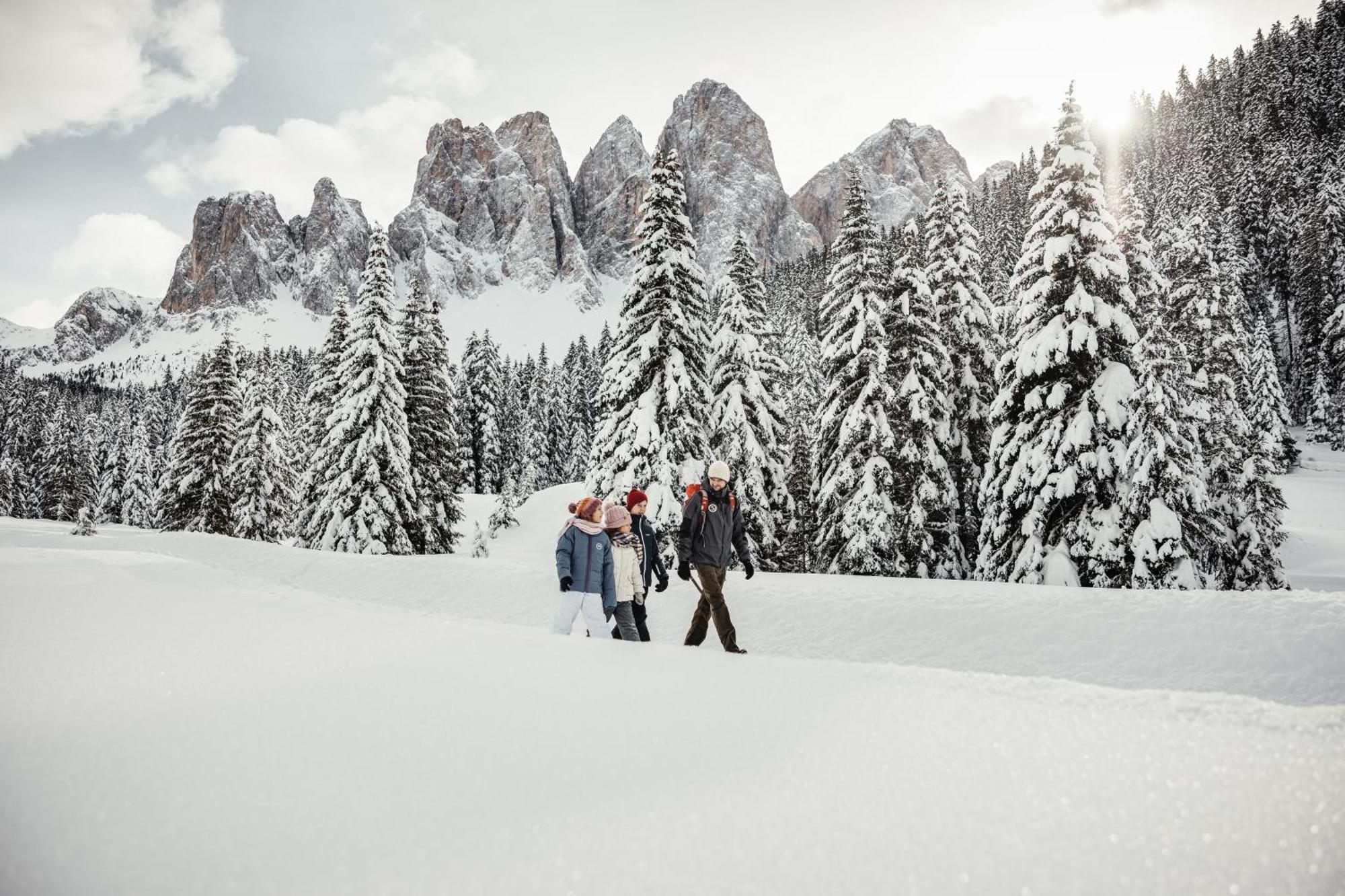 Ciasa Iachin - Dolomites Dream Retreat Apartment Сан Мартино ин Бадия Екстериор снимка