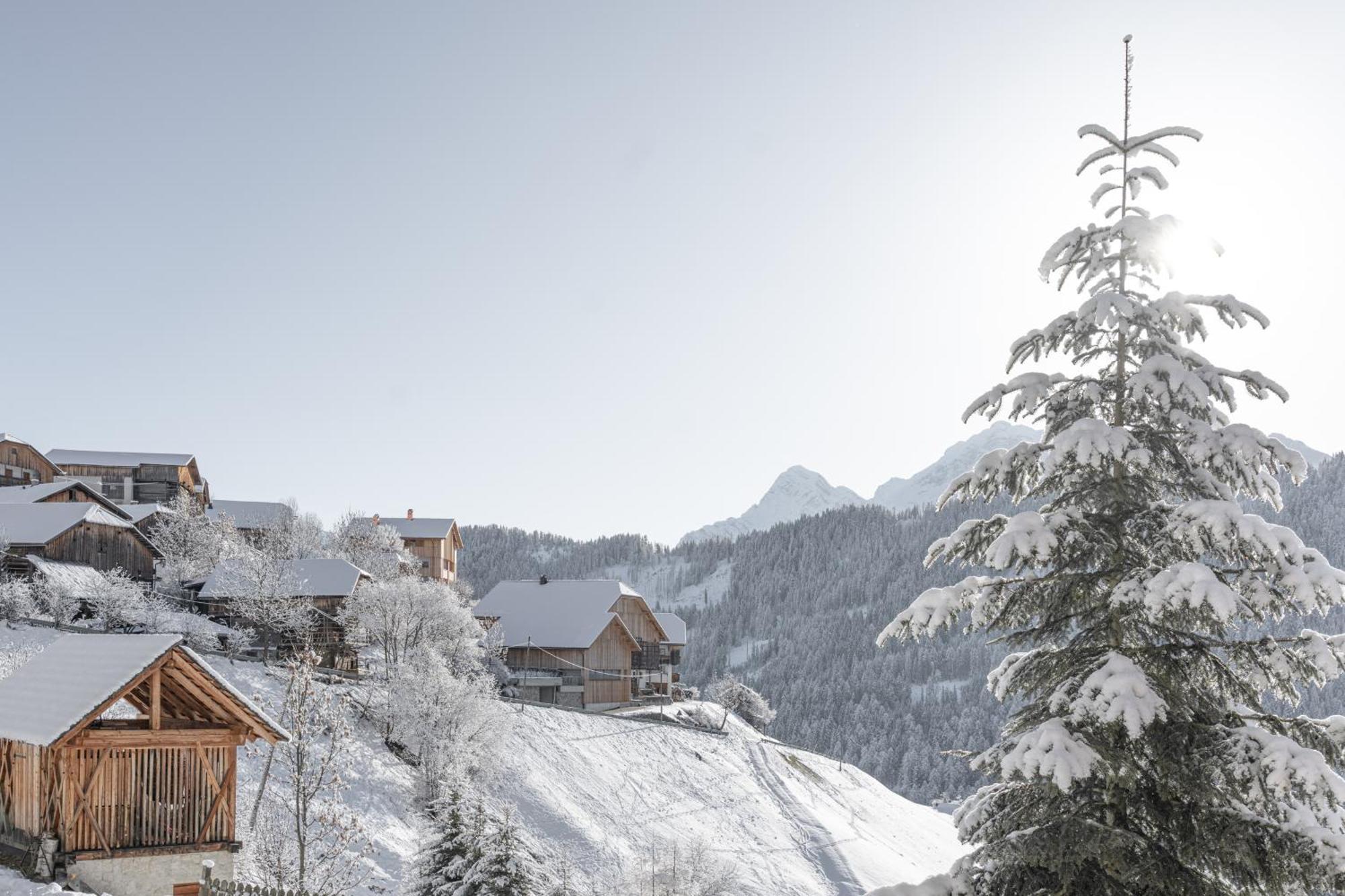 Ciasa Iachin - Dolomites Dream Retreat Apartment Сан Мартино ин Бадия Екстериор снимка