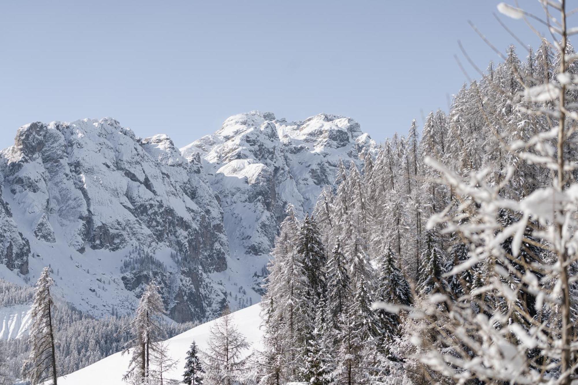 Ciasa Iachin - Dolomites Dream Retreat Apartment Сан Мартино ин Бадия Екстериор снимка